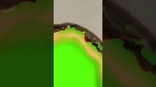 Burning Paper Green Screen || Green Screen Tutorial || #trending #viral #shorts #status