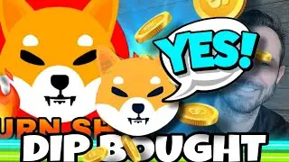 Shiba Inu Coin | The SHIB Dip Is Being Bought!