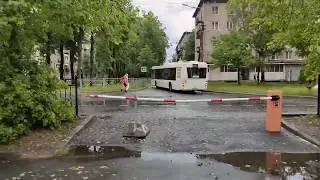 Первые последствия дождя в Санкт-Петербурге 09.06.2020