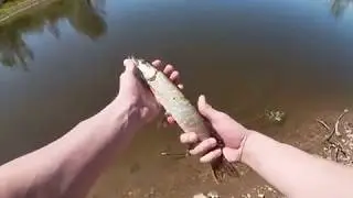 Осваиваем мормышинг, рыбалка на мормышку попалась щука))), так же покидал микроджиг.
