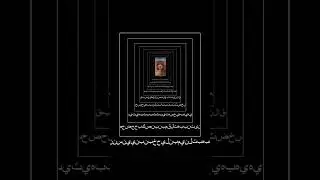 undo #мем