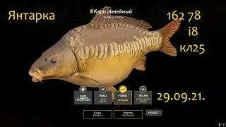 рр4! Янтарное. Карп Линейный троф!!!
