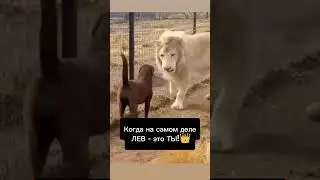 8 сентября 2024 г.