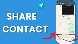 How to Share a Contact on Telegram | Quick & Easy Guide