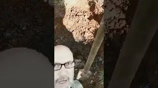 Septic tank filled with grease, Absolutely Horrible!