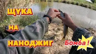 Щука.