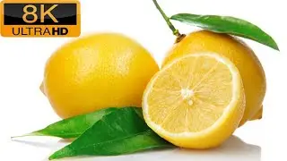 Lemon in Pakistan#lemon #trending #viral
