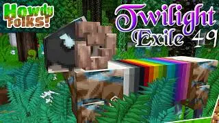 The Long Awaited Q&A | Twilight Exile | 49