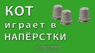 Прикольный кот (играет в наперстки)