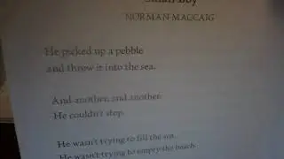 Small Boy by Norman MacCaig