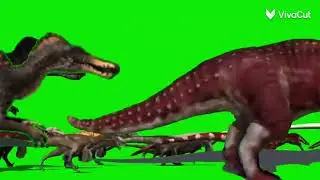 Full Dinosaurs Stampede Green Screen For Everyone