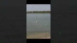 Отрывок с ролика 
