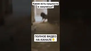 👽Какие есть сущности в Backrooms? 👽 #shorts #backrooms #закулисье