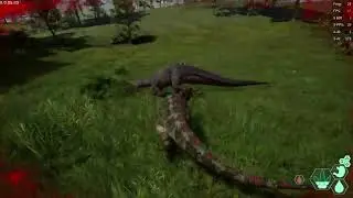 Pachy VS Teno 3 | The Isle EVRIMA update 5