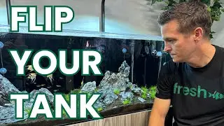 I MADE MISTAKES Here - 75G Flip WITHOUT Removing Fish