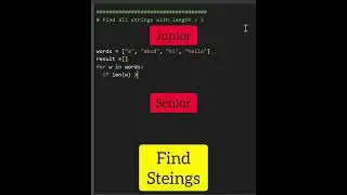 Junior Vs. Senior Python Developer 