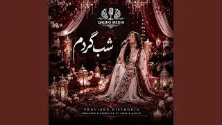 شب گردم