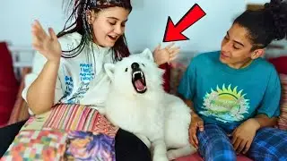 She HATES Kisses… But We Did It Anyway 😳🐶💋