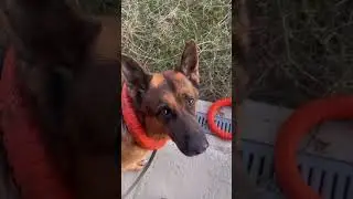 НЕПРЕДВИДЕННЫЕ ОБСТОЯТЕЛЬСТВАХ