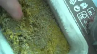 what to feed your leo?