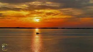 Dunedin Sunset 4K