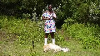 A LADY SLAUGHTERING GOAT FOR FOOD IN WHITE BOOTS
