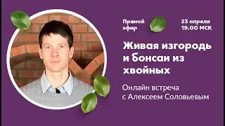 Живая изгородь из хвойных | Онлайн встреча с Алексеем Соловьевым