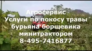 8-495-7416877 Услуги по покосу трвы, борщевика в Московской области