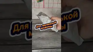 Порадуй свою красотку🔥🔥находка на 