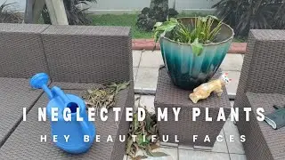Bringing My Neglected Plants Back to Life 🌱 | Pothos, Fiddle Leaf Fig, Snake Plant & Majestic Palm