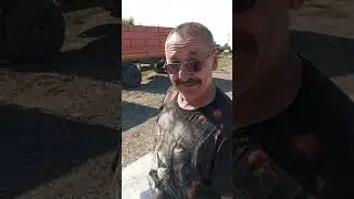 честно про своего друга