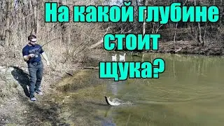 Лучшая глубина для обитания щуки!