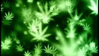 Tokin Daily Theme REMIX FULL!!