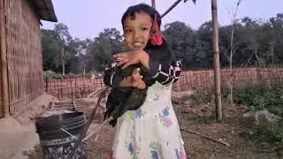 বেটিৰ কুকুৰা পটিৰ মৰম