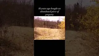#homesteading #gardening #selfsufficient #farmlife