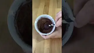 Cocoa powder + Gold dust