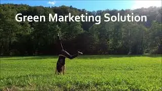 Oceans Link - Complete Green Marketing Platform | www.oceansrepublic.org