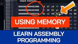 Learn Assembly: Using Memory for Beginners | x86-64 Assembly Tutorial | DATA Segment of RAM