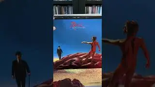 My Rush Vinyl Collection 
