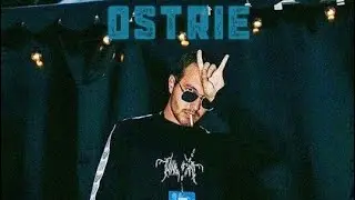 [FREE] LOQIEMEAN x SALUKI TYPE BEAT - OSTRIE