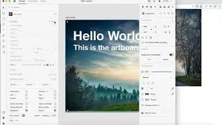 Web Export for Adobe XD walkthrough and demonstration - Part II