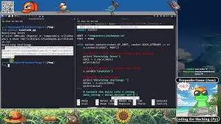Coding for Hacking in Python | Learning Binary Hacking