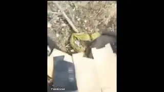 СКИДАВАЙ САПОГИ, ВЛАСТЬ ПЕРЕМЕНИЛАСЬ