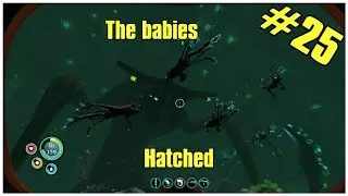 Subnautica (PS4) | Hatching the Sea Emporer eggs