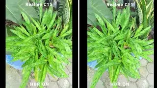 Realme c15 vs realme c11 camera test | US tech