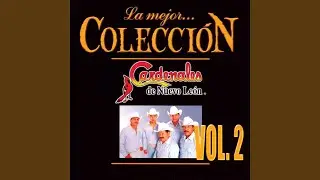 Una Carta Y Un Clavel