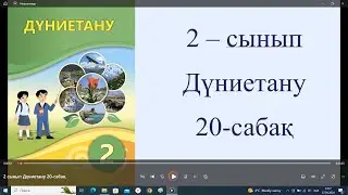 2 сынып Дүниетану 20 сабақ