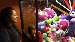 Collecting Care Bears!