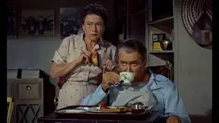 Rear Window (1954) clips