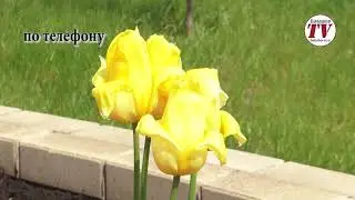ХОРОШЕЙ ПОГОДЕ БЫТЬ!